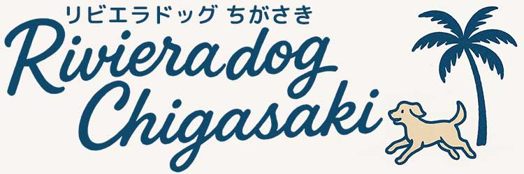茅ヶ崎 室内ドッグラン・ペットホテル Riviera Dog Chigasaki
